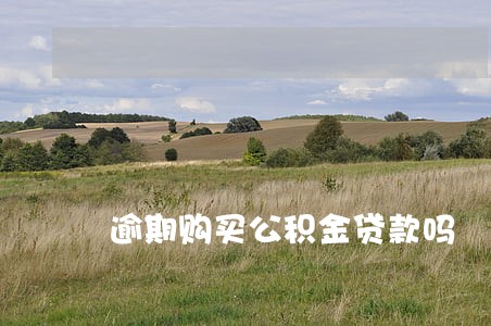 逾期购买公积金贷款吗 逾期购买公积金贷款吗