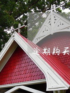 逾期购买车险 逾期购买车险