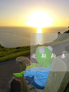 逾期购房合同 逾期购房合同