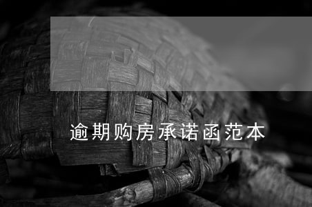 逾期购房承诺函范本