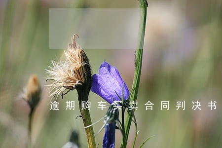 逾期购车买卖合同判决书 逾期购车买卖合同判决书