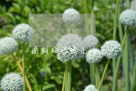 逾期贴吧曝光信息 逾期贴吧曝光信息