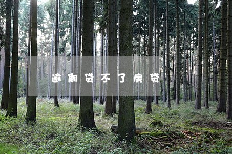 逾期贷不了房贷 逾期贷不了房贷
