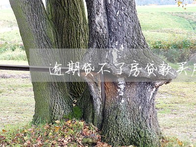 逾期贷不了房贷款买房吗 逾期贷不了房贷款买房吗