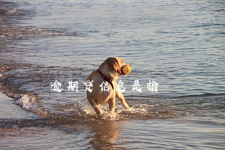 逾期贷信息是指 逾期贷信息是指