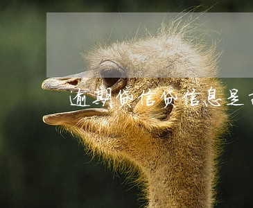 逾期贷信贷信息是指