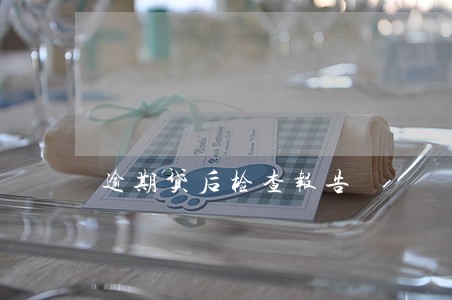 逾期贷后检查报告 逾期贷后检查报告