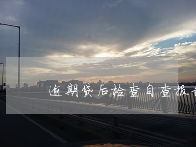 逾期贷后检查自查报告 逾期贷后检查自查报告