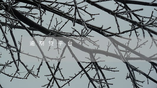 逾期贷平台 逾期贷平台