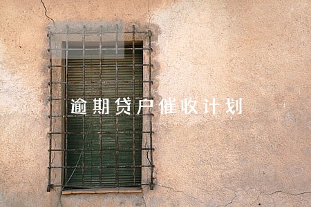 逾期贷户催收计划 逾期贷户催收计划