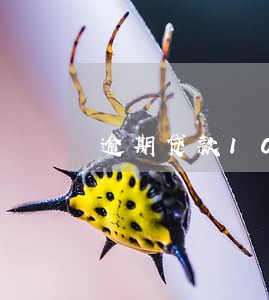 逾期贷款10步催收法 逾期贷款10步催收法