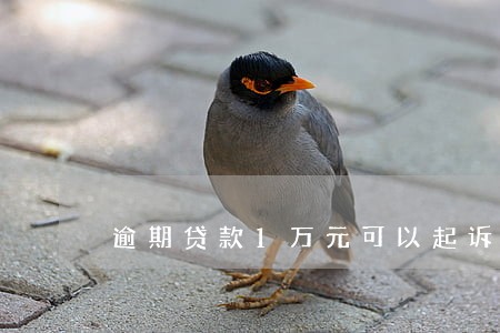 逾期贷款1万元可以起诉吗 逾期贷款1万元可以起诉吗