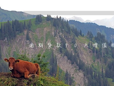 逾期贷款90天增值税