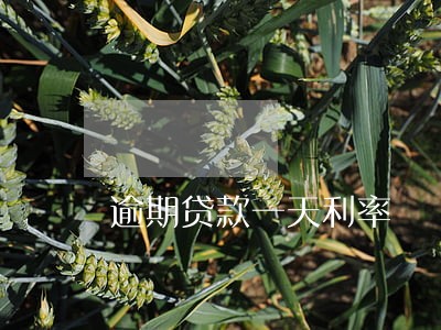 逾期贷款一天利率 逾期贷款一天利率