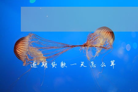 逾期贷款一天怎么算 逾期贷款一天怎么算