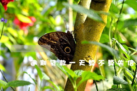 逾期贷款一天算不算失信 逾期贷款一天算不算失信