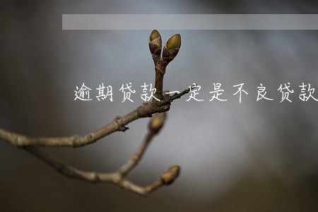 逾期贷款一定是不良贷款吗 逾期贷款一定是不良贷款吗