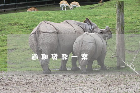 逾期贷款一案 逾期贷款一案