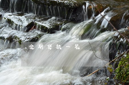 逾期贷款一笔 逾期贷款一笔