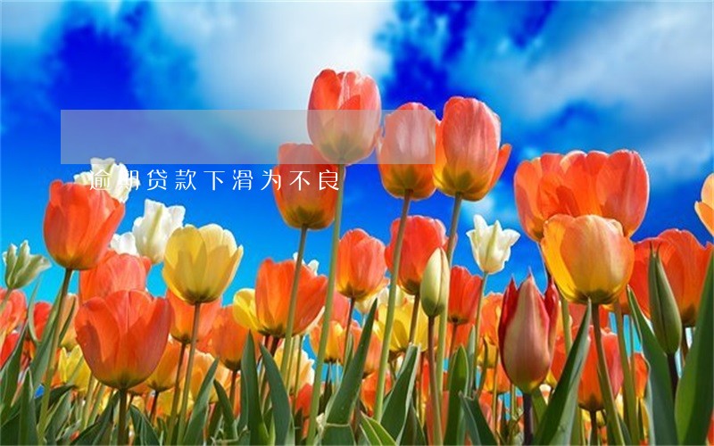 逾期贷款下滑为不良