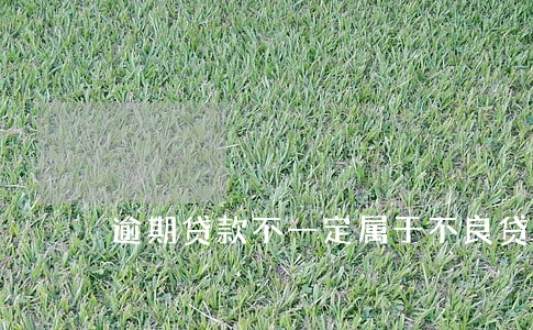 逾期贷款不一定属于不良贷款 逾期贷款不一定属于不良贷款
