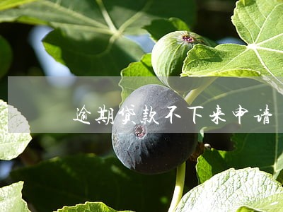 逾期贷款不下来申请 逾期贷款不下来申请
