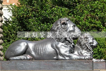 逾期贷款不催收风险 逾期贷款不催收风险