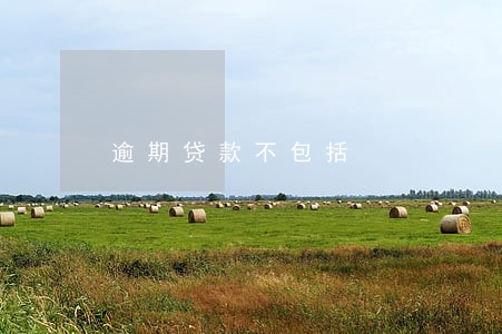 逾期贷款不包括 逾期贷款不包括