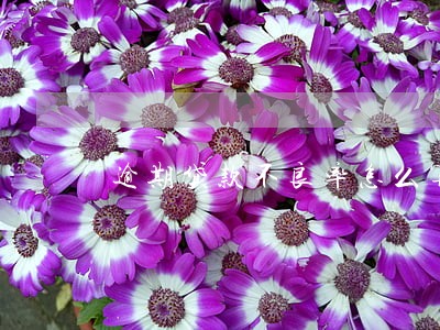 逾期贷款不良率怎么算 逾期贷款不良率怎么算
