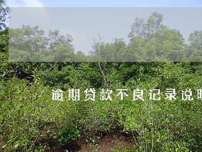 逾期贷款不良记录说明 逾期贷款不良记录说明