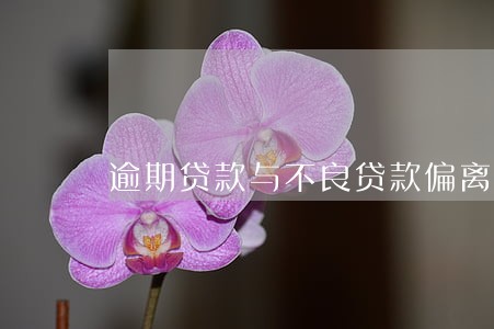 逾期贷款与不良贷款偏离度 逾期贷款与不良贷款偏离度