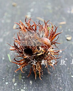 逾期贷款与逾期利息 逾期贷款与逾期利息
