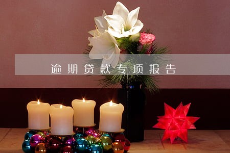 逾期贷款专项报告 逾期贷款专项报告