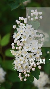 逾期贷款个人快贷 逾期贷款个人快贷