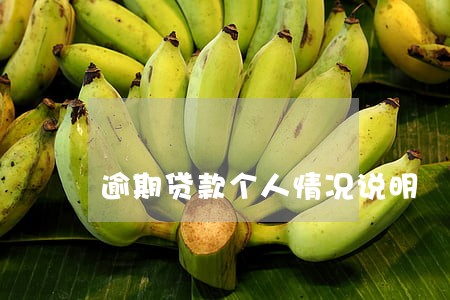 逾期贷款个人情况说明 逾期贷款个人情况说明