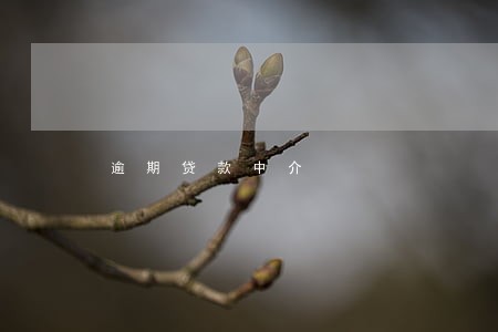 逾期贷款中介 逾期贷款中介