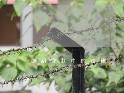 逾期贷款中的法律 逾期贷款中的法律