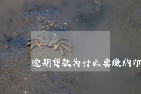 逾期贷款为什么要缴纳印花税 逾期贷款为什么要缴纳印花税