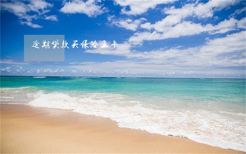 逾期贷款买保险五年 逾期贷款买保险五年