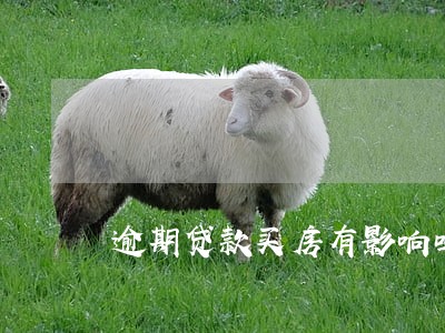 逾期贷款买房有影响吗 逾期贷款买房有影响吗