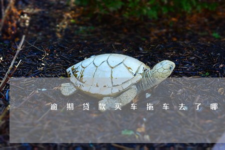 逾期贷款买车拖车去了哪里 逾期贷款买车拖车去了哪里
