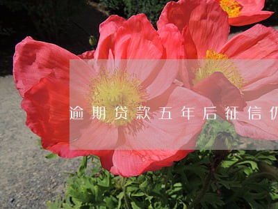 逾期贷款五年后征信仍显示 逾期贷款五年后征信仍显示