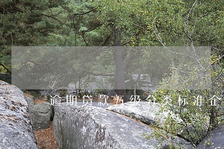 逾期贷款五级分类标准企业 逾期贷款五级分类标准企业