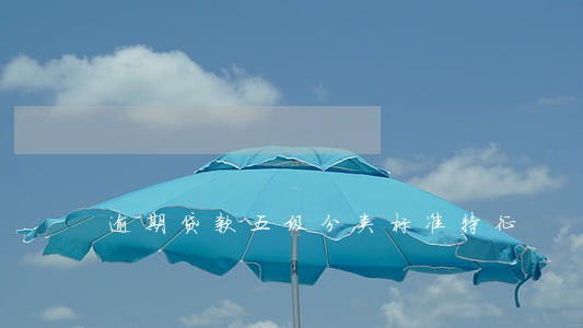 逾期贷款五级分类标准特征 逾期贷款五级分类标准特征