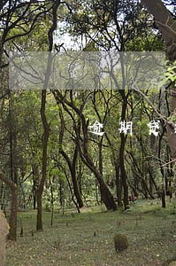 逾期贷款产生的原因 逾期贷款产生的原因