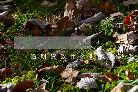 逾期贷款什么时候开始算罚息 逾期贷款什么时候开始算罚息