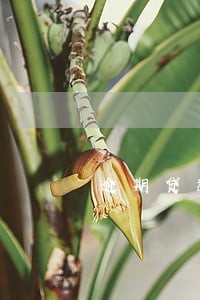 逾期贷款他行扣款 逾期贷款他行扣款
