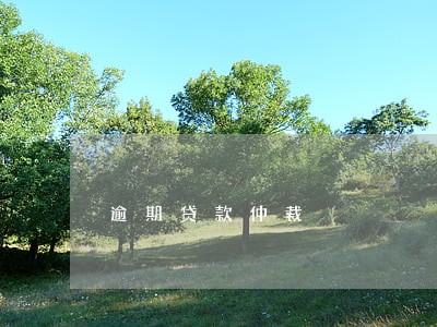 逾期贷款仲裁 逾期贷款仲裁