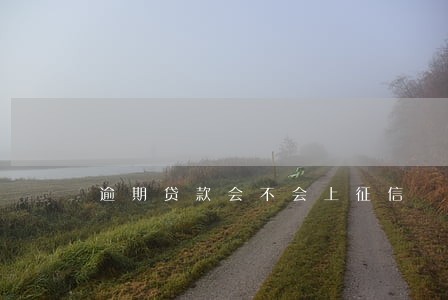 逾期贷款会不会上征信 逾期贷款会不会上征信
