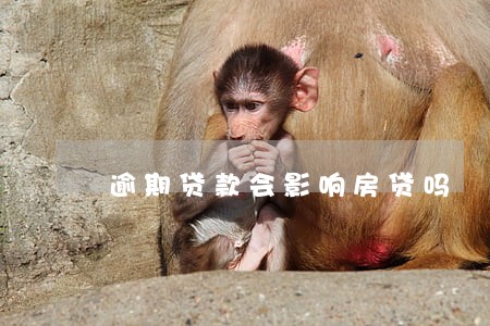 逾期贷款会影响房贷吗 逾期贷款会影响房贷吗